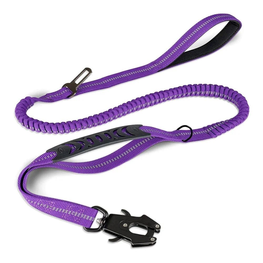 SecureRide Dog Car Leash