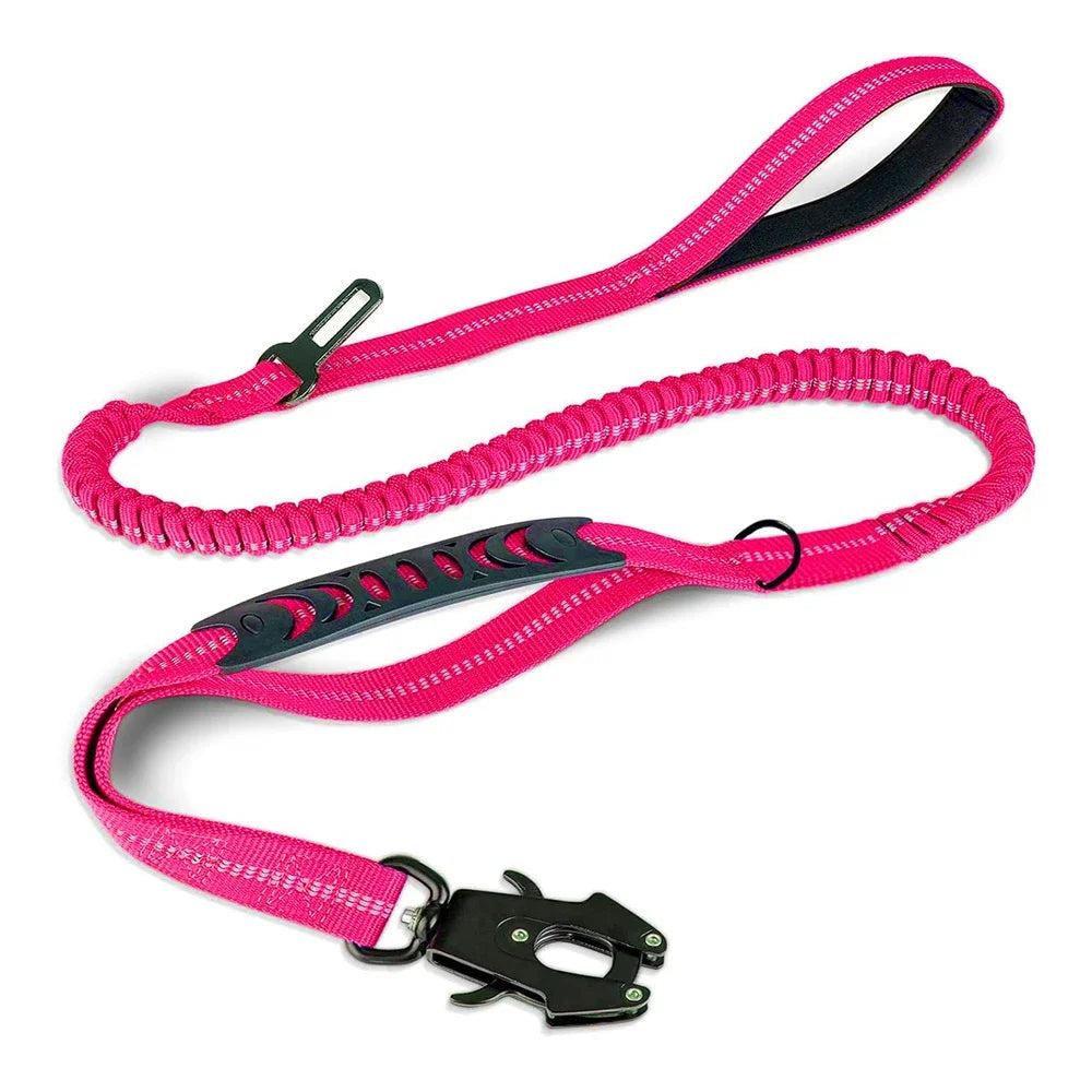 SecureRide Dog Car Leash