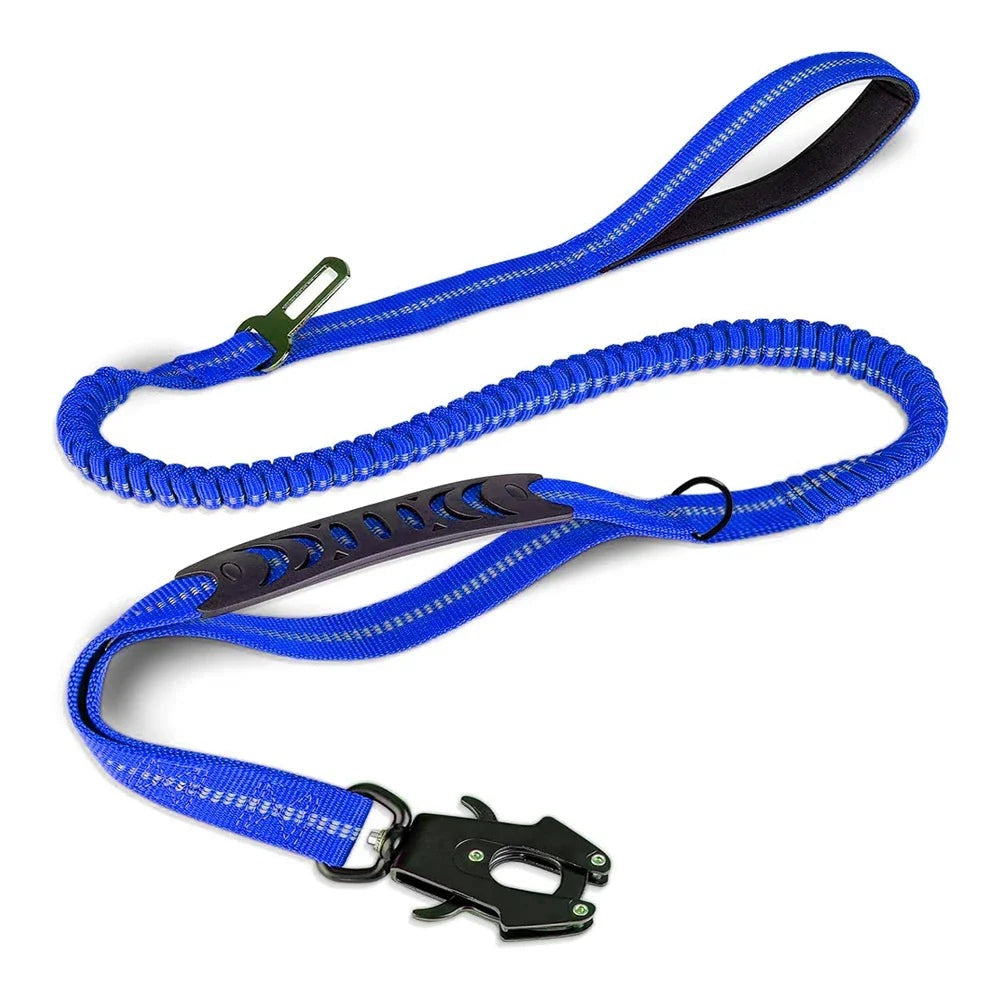SecureRide Dog Car Leash
